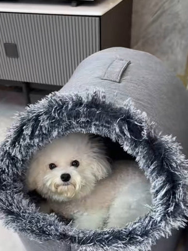 "Transform Winter Chills into Cozy Bliss!"